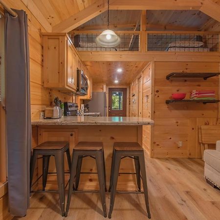 Celina Cabin Nature Cabin Near Downtown 채터누가 외부 사진